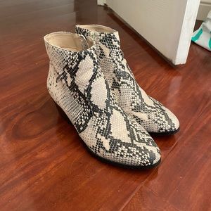 Steve Madden snake skin booties